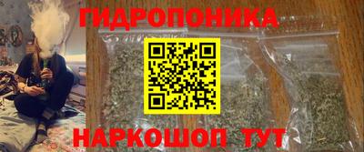 прущие крисы Кулебаки