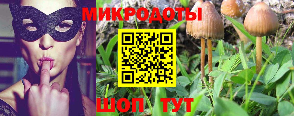 Псилоцибиновые грибы прущие грибы Ижевск